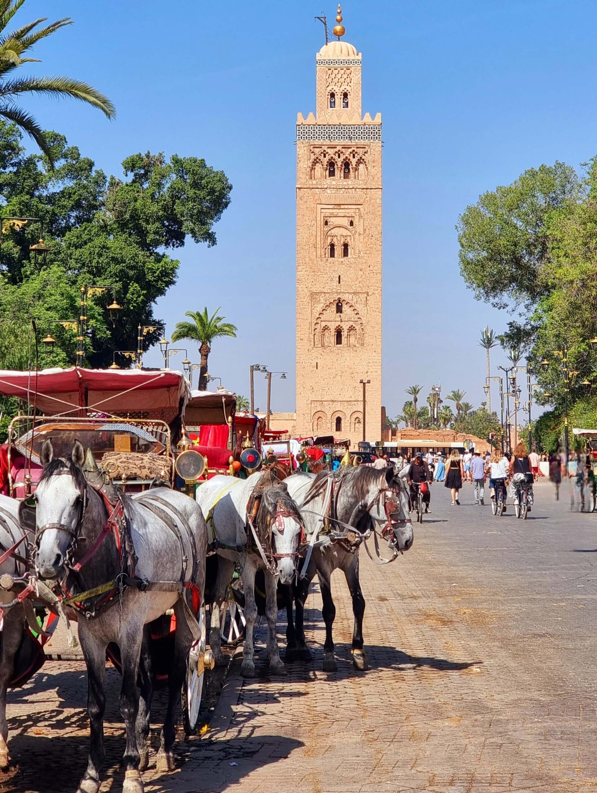 Read more about the article Wonderful 5 day adventure with my 18 year old son filled with memory-making moments