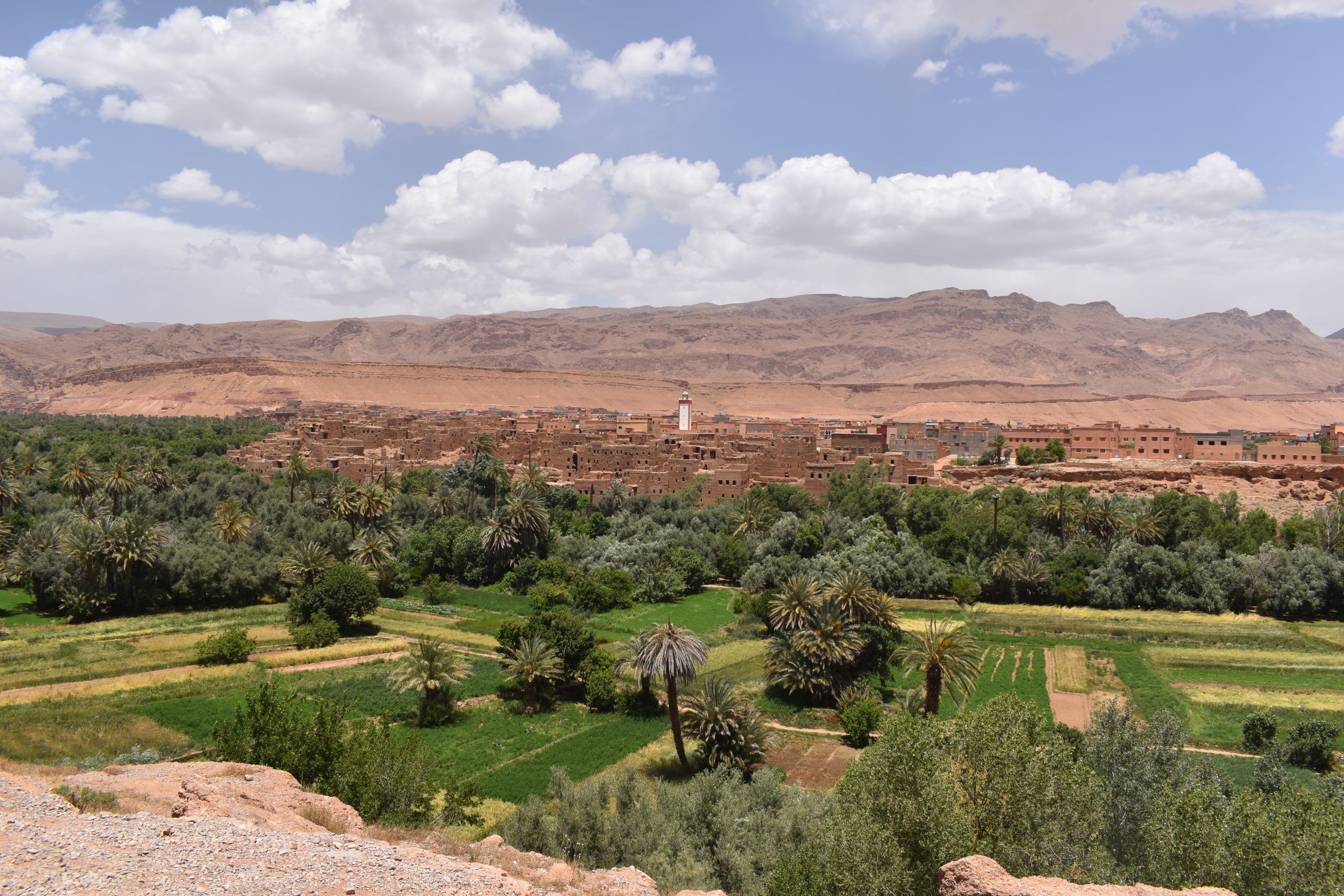 Read more about the article Sahara Desert Tour in Morocco: 3 days experience